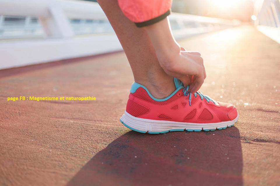 15192616_1167785149943389_3300100823354723563_n