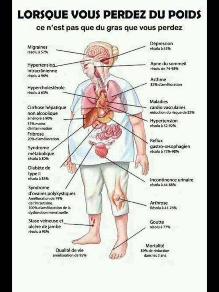 18920139_375956496139214_6522421214851250017_n